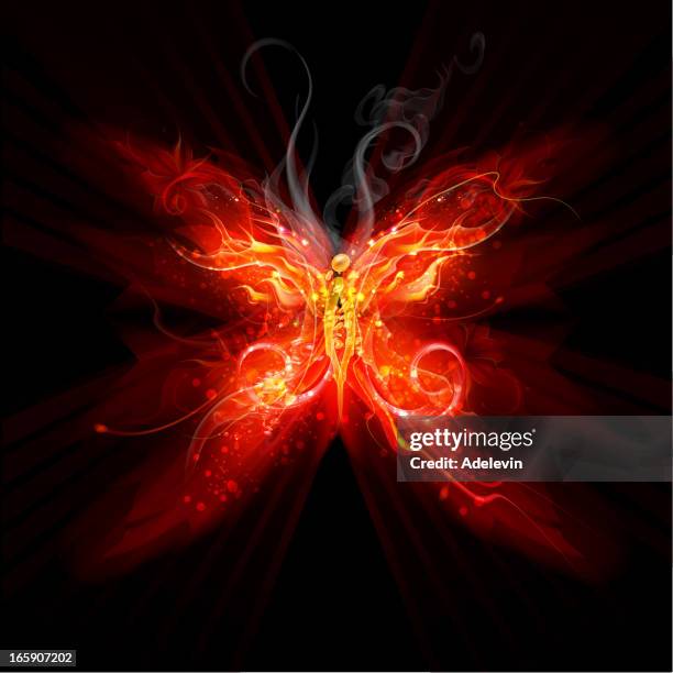 fiery-schmetterling - animal limb stock-grafiken, -clipart, -cartoons und -symbole