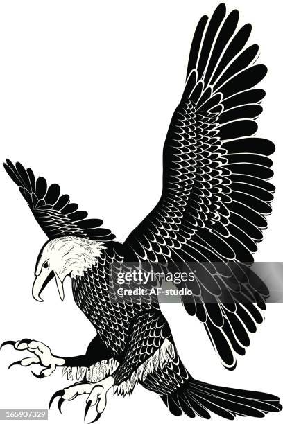 eagle - fanned out stock illustrations