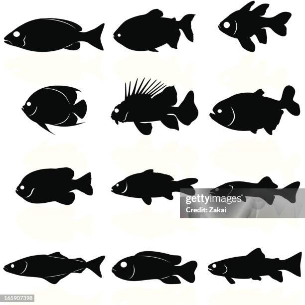 ilustraciones, imágenes clip art, dibujos animados e iconos de stock de fishes siluetas - walleye