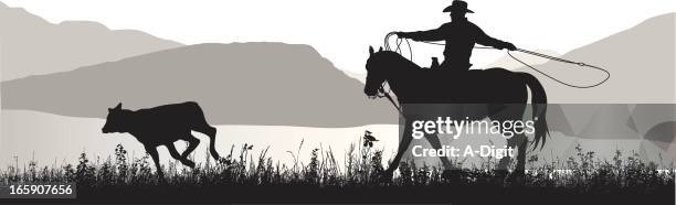 lasso vector silhouette - lasso stock illustrations