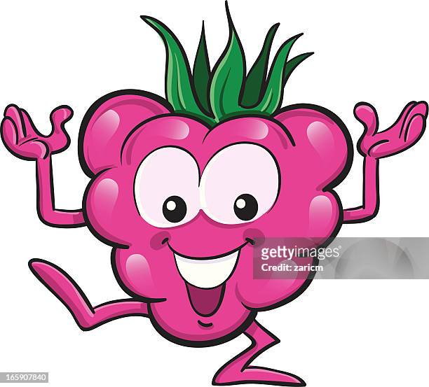 153 Raspberries Cartoon High Res Illustrations - Getty Images