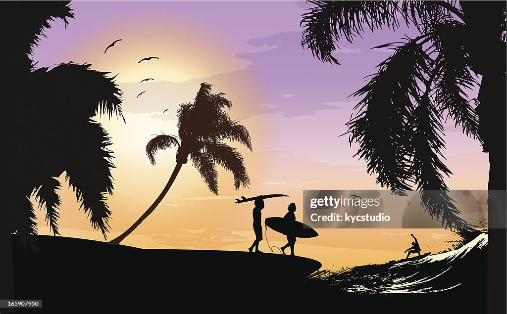 Surfing paradise