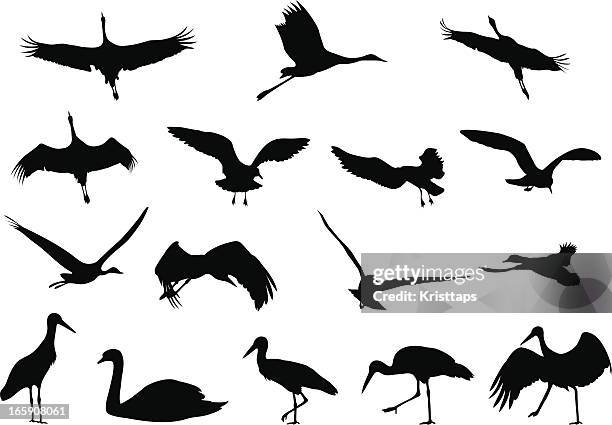 ilustrações, clipart, desenhos animados e ícones de silhuetas de pássaros - cegonha