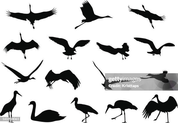 silhouettes - birds - swan silhouette stock illustrations