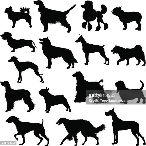 vielen hunden silhouette - pudel stock-grafiken, -clipart, -cartoons und -symbole