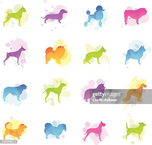 ilustraciones, imágenes clip art, dibujos animados e iconos de stock de manchas iconos de perro - basset hound