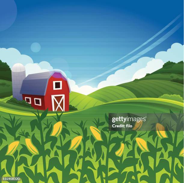 summer farm - rural midwest stock illustrations