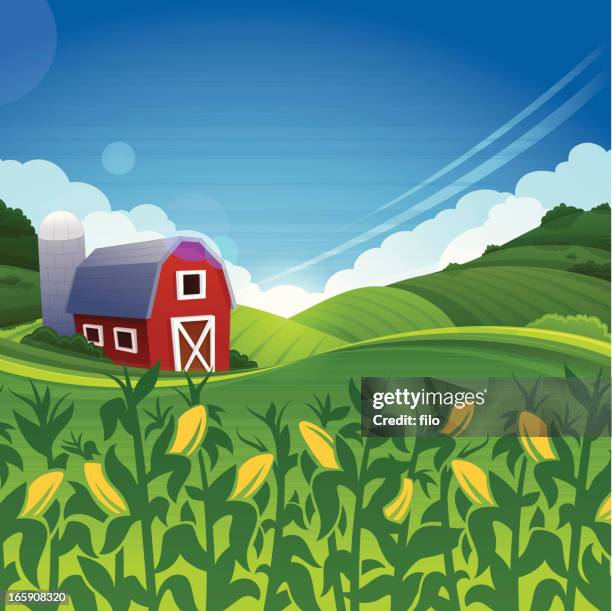 summer farm - midwest usa stock illustrations