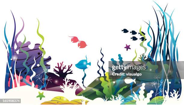 sea etage welt - meeresboden stock-grafiken, -clipart, -cartoons und -symbole
