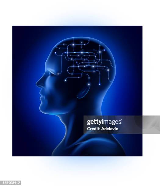 x-ray male facial profile - brain xray stock illustrations