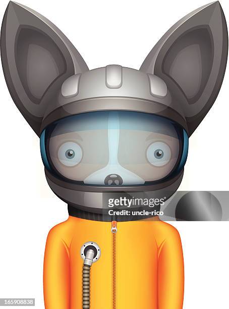 chihuahua astronaut cartoon-figur - schutzbrille stock-grafiken, -clipart, -cartoons und -symbole