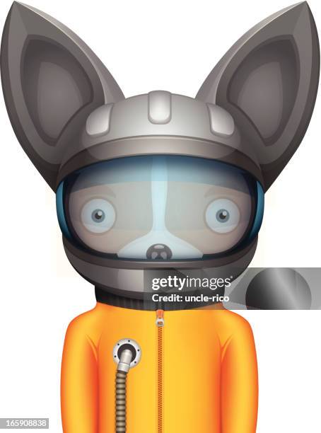 chihuahua astronaut cartoon character - space suit stock illustrations