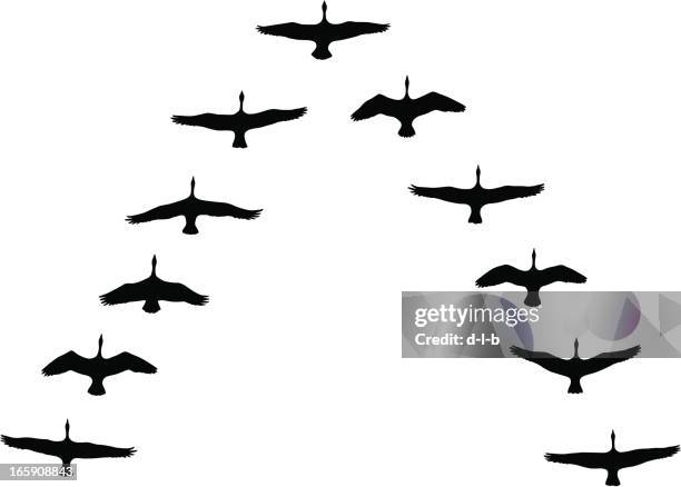 canada geese flying in v-formation - birds flying stock illustrations