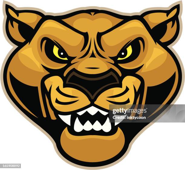 cougar mascot head - panther face stock illustrations