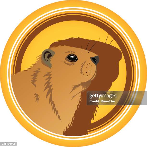 marmot - beaver stock illustrations