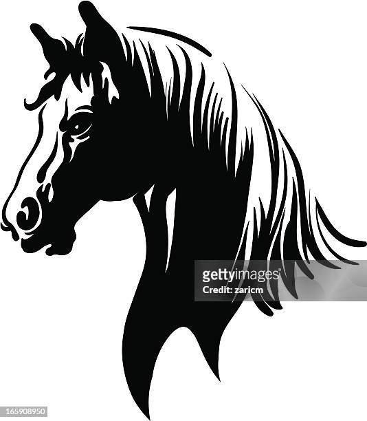 bildbanksillustrationer, clip art samt tecknat material och ikoner med horse - mustang wild horse