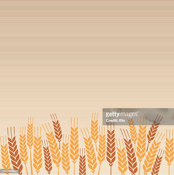 stockillustraties, clipart, cartoons en iconen met wheat field - volkorentarwe