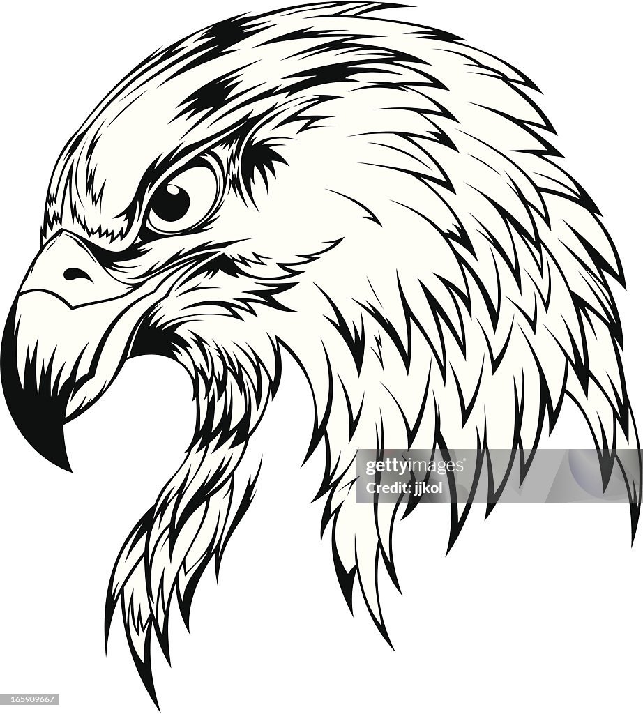 Eagle Head