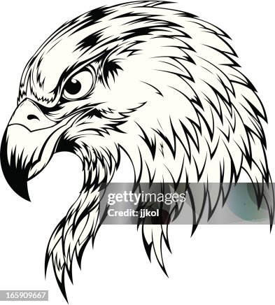 Eagle Head Eagle Head