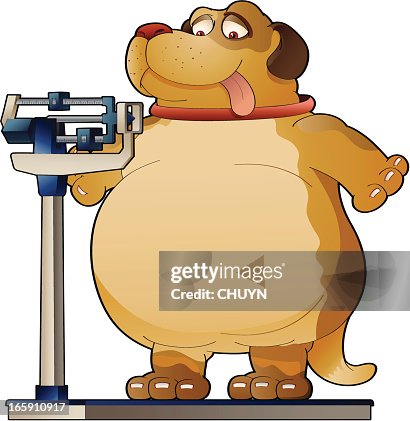 Weight concerns Weight concerns
