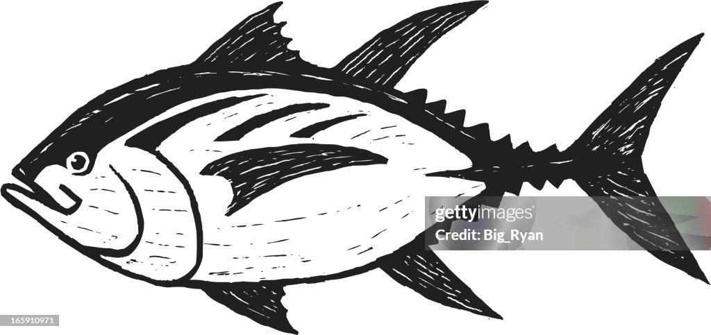 Sketchy tuna