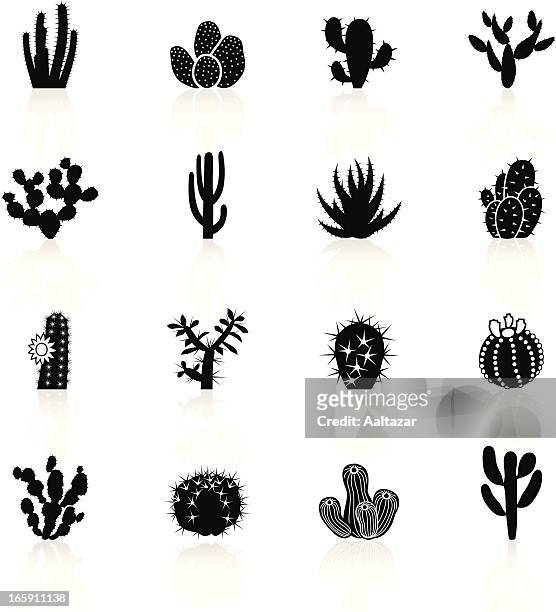 illustrazioni stock, clip art, cartoni animati e icone di tendenza di nero simboli-cactuses cactus - piante grasse
