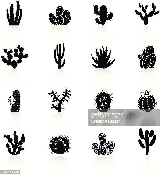 stockillustraties, clipart, cartoons en iconen met black symbols - cactuses cacti - cactus