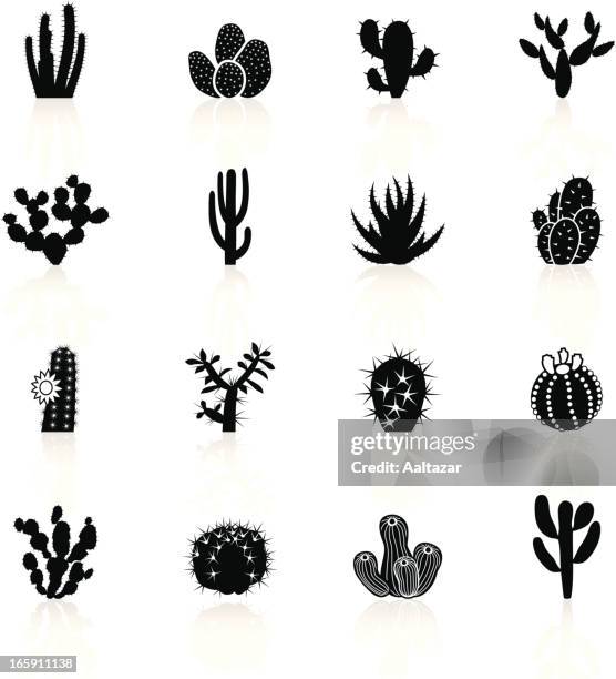 black symbols - cactuses cacti - succulent plant stock illustrations