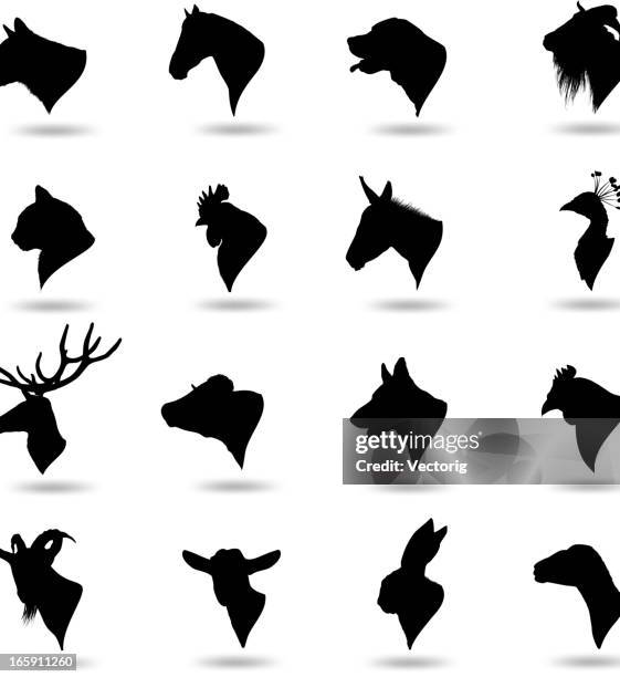 animal heads - horse silhouette stock illustrations