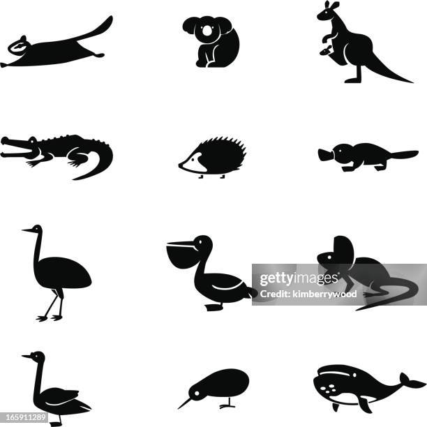 australia animal icon set - platypus stock illustrations