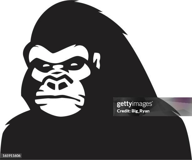 gorilla head - gorilla face stock illustrations