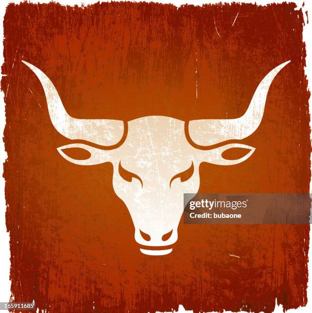 wild bull on royalty free vector background - texas longhorn cattle 幅插畫檔、美工圖案、卡通及圖標