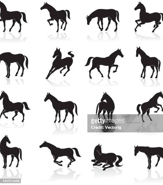 horse icon set - horse stock illustrations