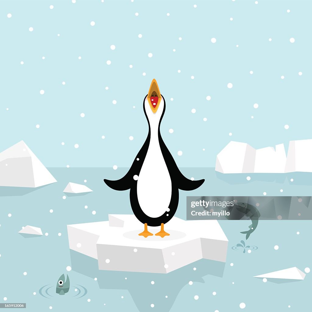 Let it snow. Penguin eating snowflakes.