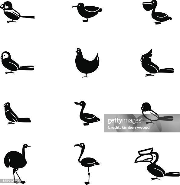 bird icon set - albatross stock illustrations