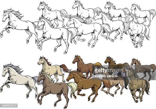ilustrações, clipart, desenhos animados e ícones de cavalos - mustang wild horse