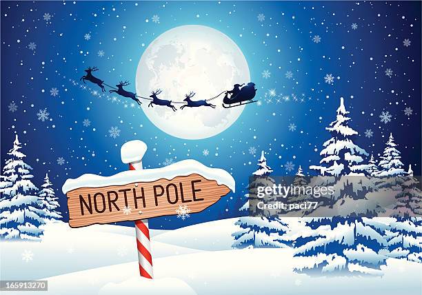 ilustraciones, imágenes clip art, dibujos animados e iconos de stock de polo norte de señal con santa clause - reno nevada