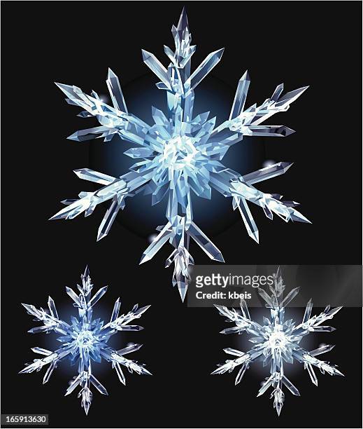 ice crystal - eiskristall stock-grafiken, -clipart, -cartoons und -symbole