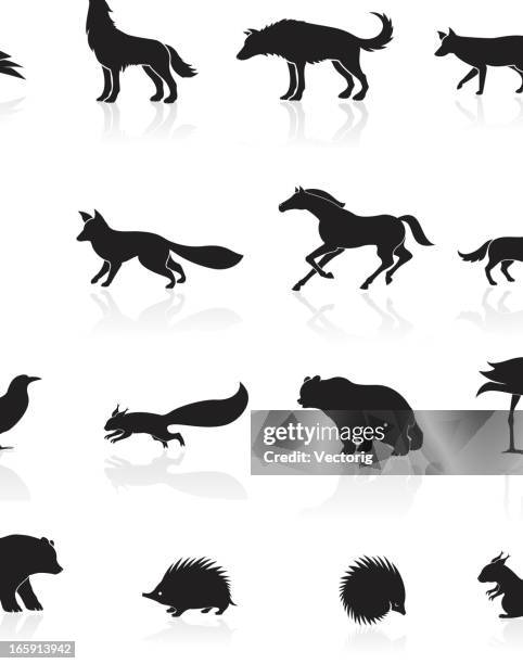 ilustraciones, imágenes clip art, dibujos animados e iconos de stock de icono de animales salvajes - lobo