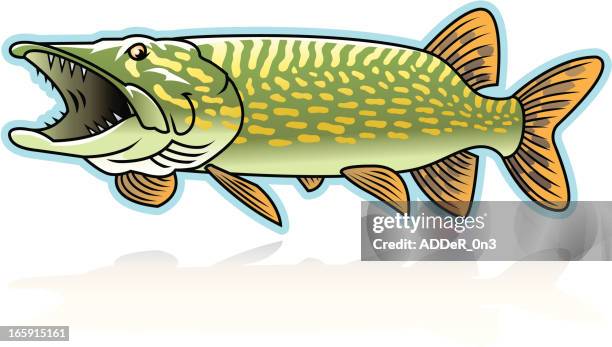 northern pike - ice fishing stock illustrations