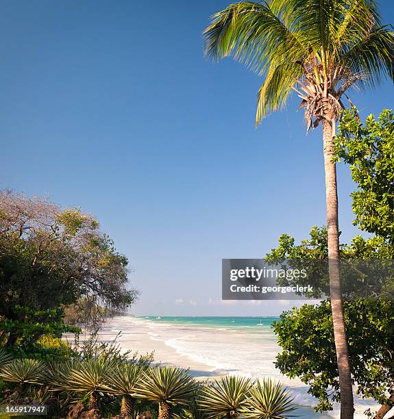 diani strand in kenia - mombasa stock-fotos und bilder