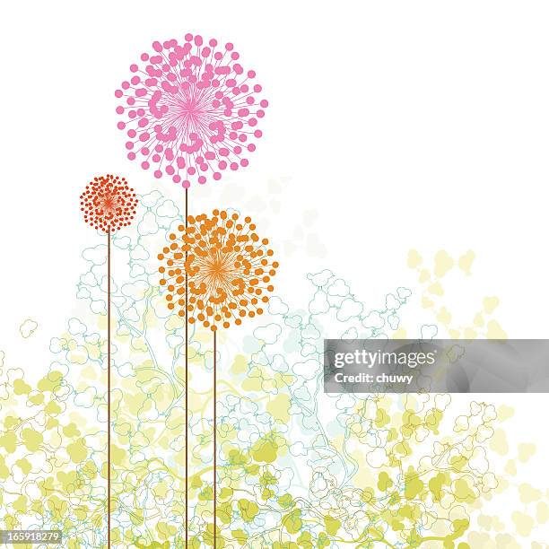 frühling garten - blumenbeet stock-grafiken, -clipart, -cartoons und -symbole