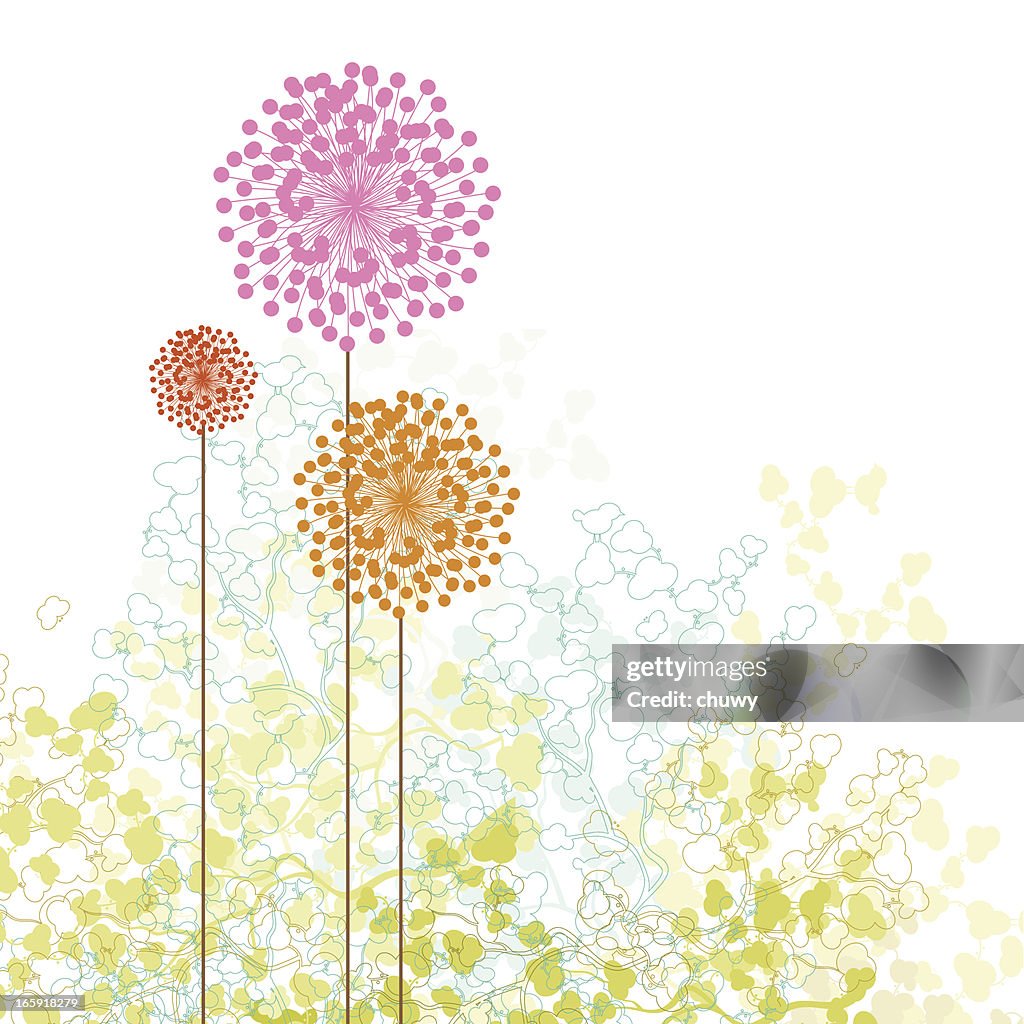 Little spring garden