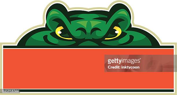 ilustrações de stock, clip art, desenhos animados e ícones de gator mascote de - crocodilo