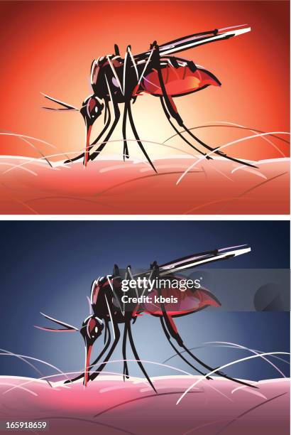 mosquito bites day and night - mosquito vector stock illustrations