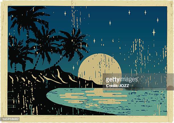 stockillustraties, clipart, cartoons en iconen met hawaiian night postcard - het grote eiland hawaï eilanden