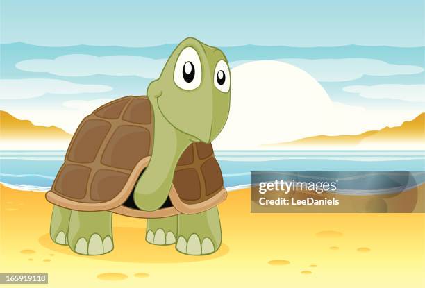 129 Cartoon Turtle Shell Photos and Premium High Res Pictures - Getty Images 129 Cartoon Turtle Shell Photos and Premium High Res Pictures - Getty Images