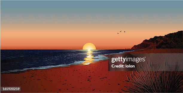 sunset with seagulls - cliff stock illustrations