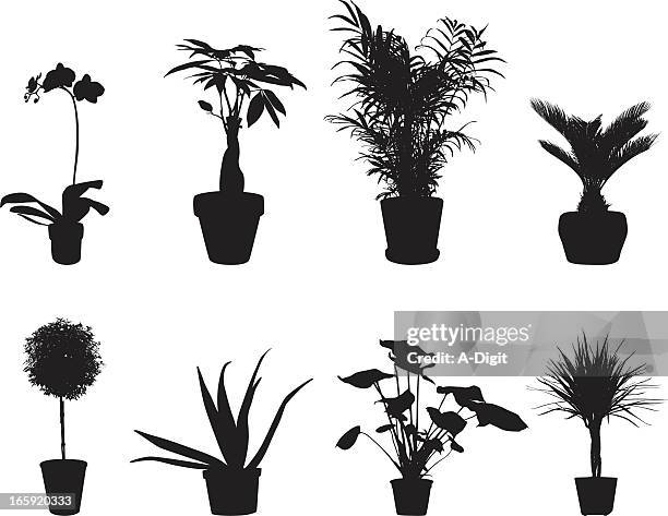 potted plants vector silhouette - pot plant 幅插畫檔、美工圖案、卡通及圖標