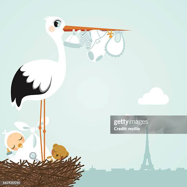 stork paris newborn - birth certificate stock illustrations